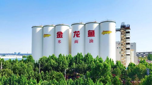 益海嘉里金龍魚八赴進博之約 以科技健康雙輪驅動，三季度業績穩中有進